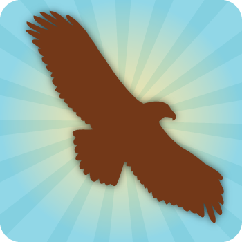 Birds Birds