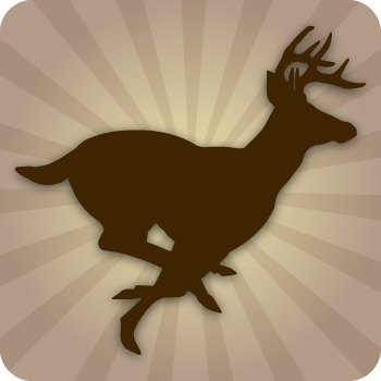 Deer Deer