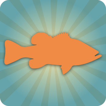 Fish Fish