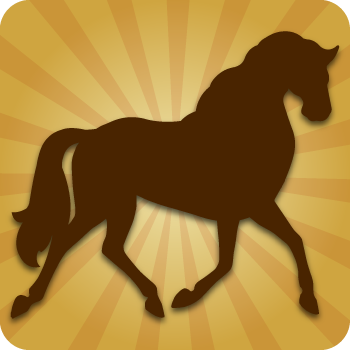 Horses Horses