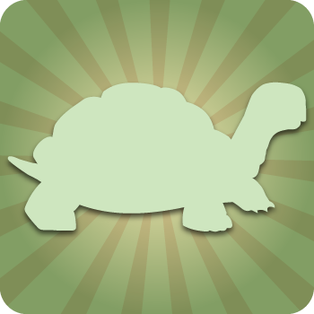Turtles Turtles